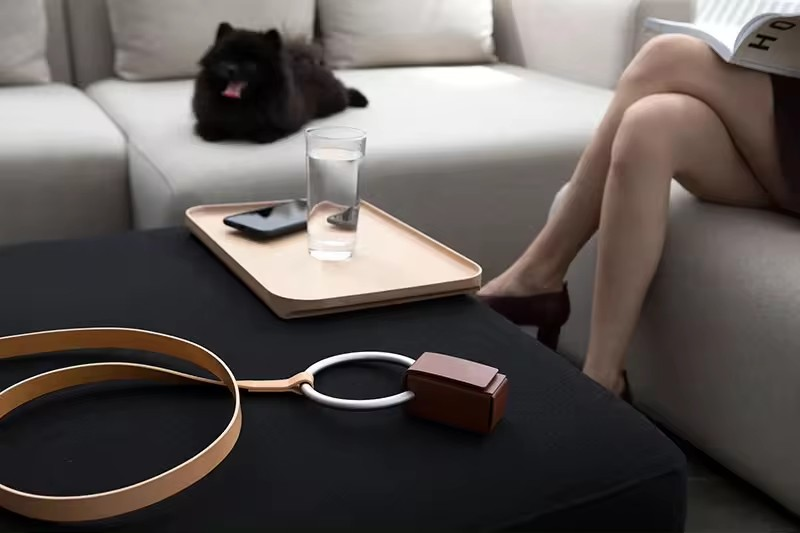 Dog leash collar set with metal ring holder