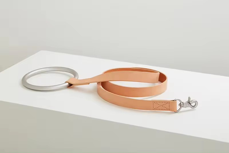 Dog leash collar set with metal ring holder