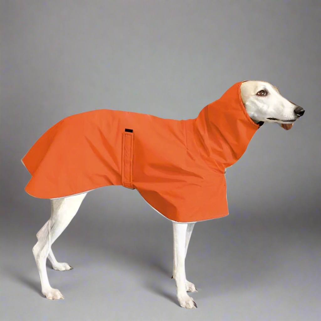 High collar waterproof raincoat