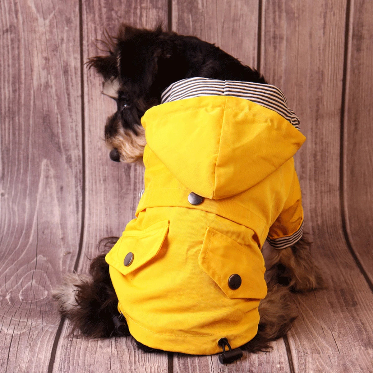 Dog's rain coat
