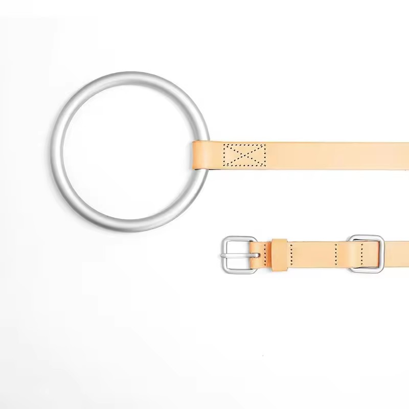 Dog leash collar set with metal ring holder