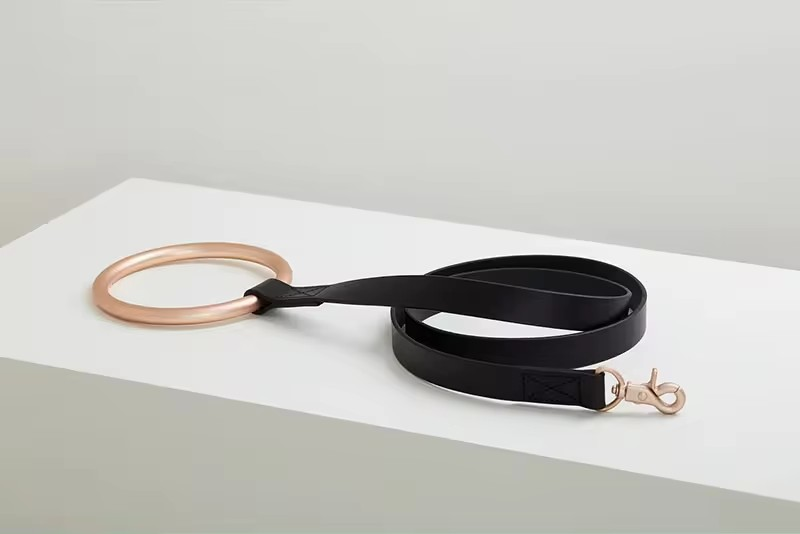 Dog leash collar set with metal ring holder