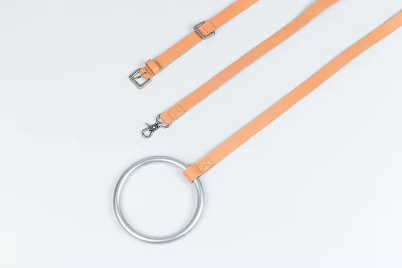 Dog leash collar set with metal ring holder