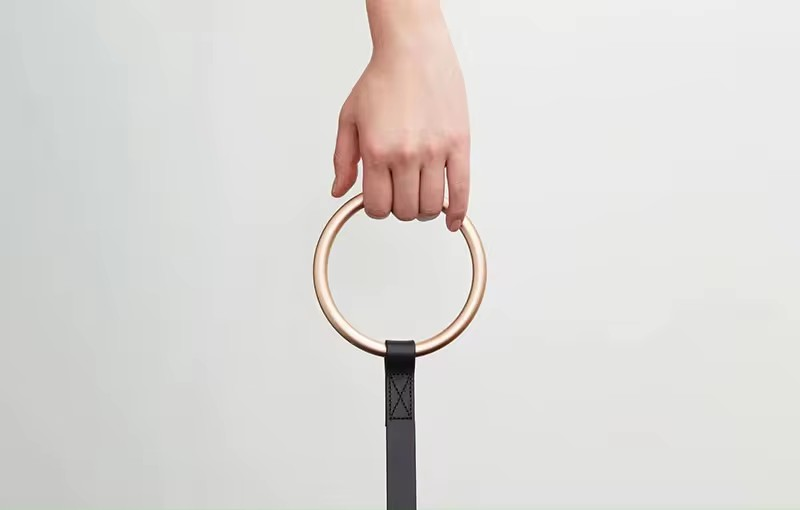 Dog leash collar set with metal ring holder