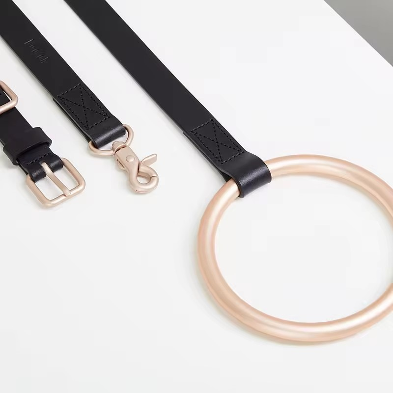 Dog leash collar set with metal ring holder
