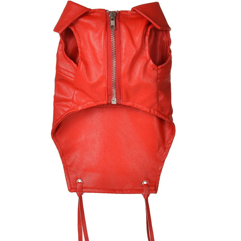 Bold red biker jacket