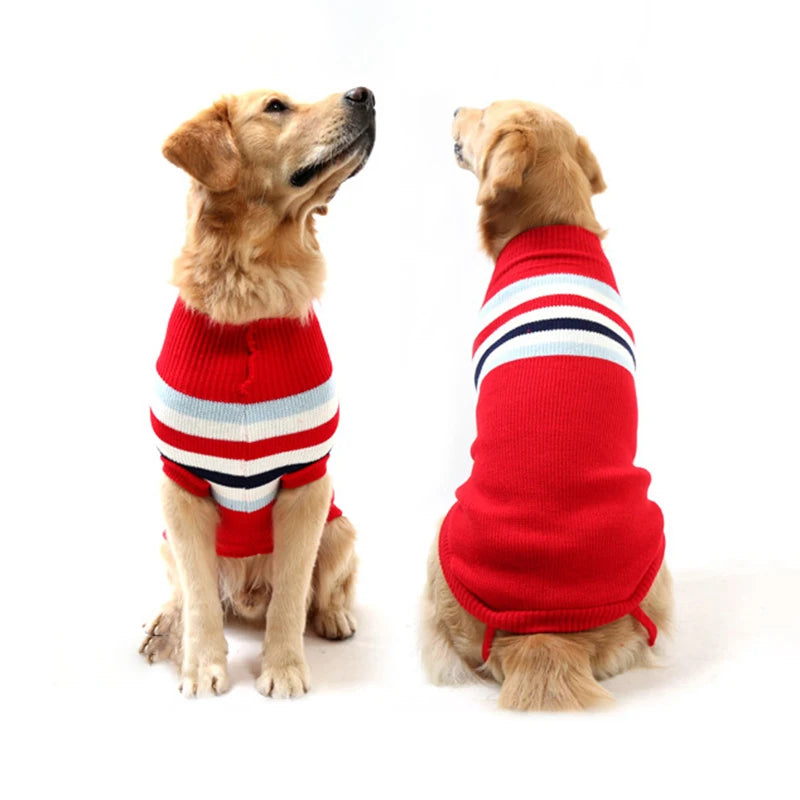 Christmas jumpers for medium to large dogs